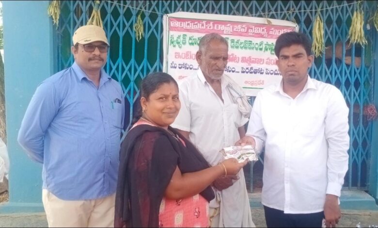 పెరటి పంట.ఆరోగ్యం మన ఇంట 