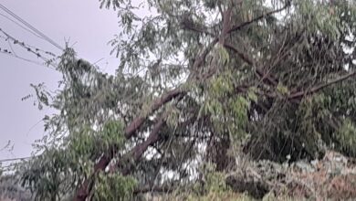 విద్యుత్ తీగల తో పొంచి ఉన్న ప్రమాదం